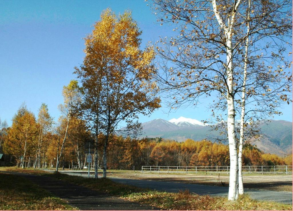 Alpine Inn Mizushiro Matsumoto Eksteriør billede