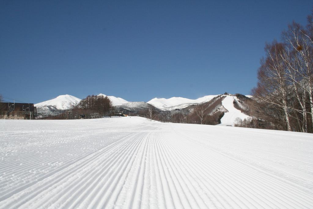 Alpine Inn Mizushiro Matsumoto Eksteriør billede